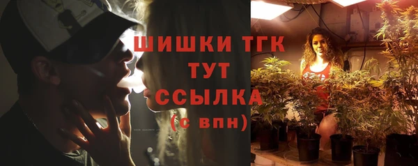 тгк Арсеньев