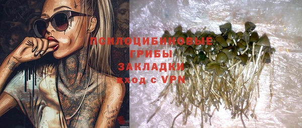 дмт Армянск