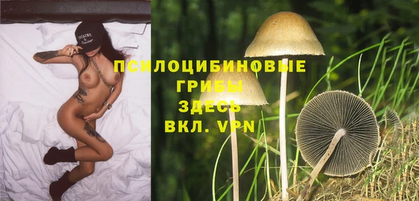тгк Арсеньев