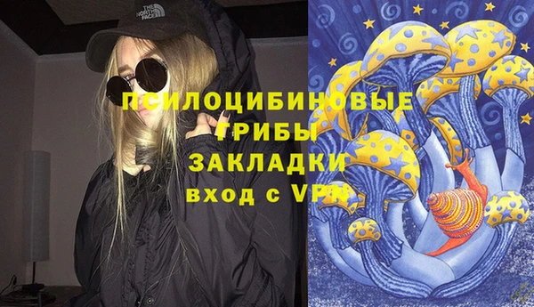 дмт Армянск