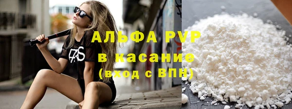 СК Козловка
