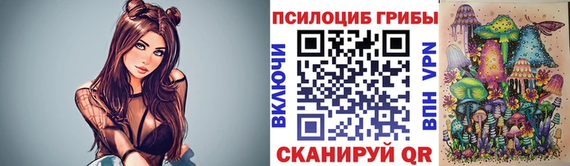 Купить закладки  Алушта  Псилоцибиновые грибы Psilocybine cubensis 
